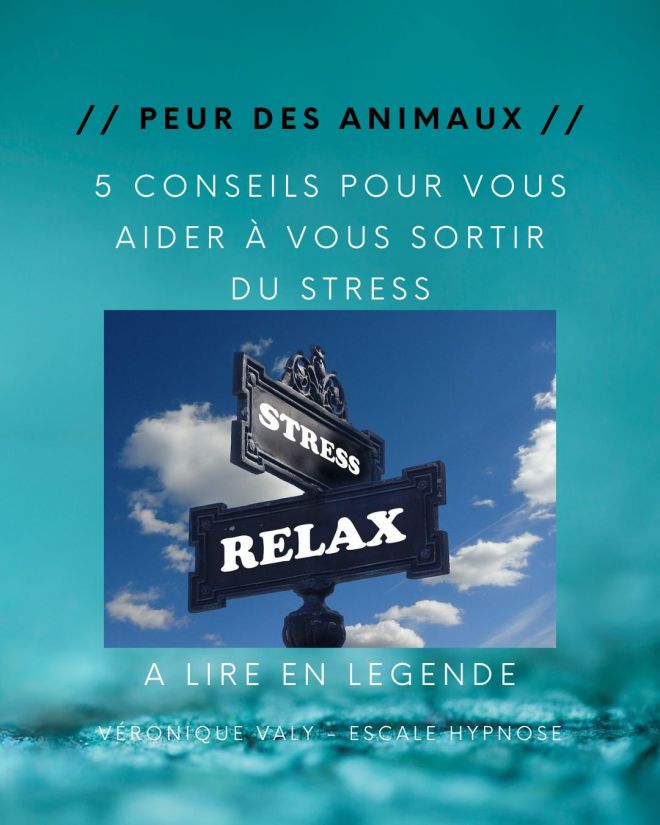 5 conseils pour vous aider à sortir du stress